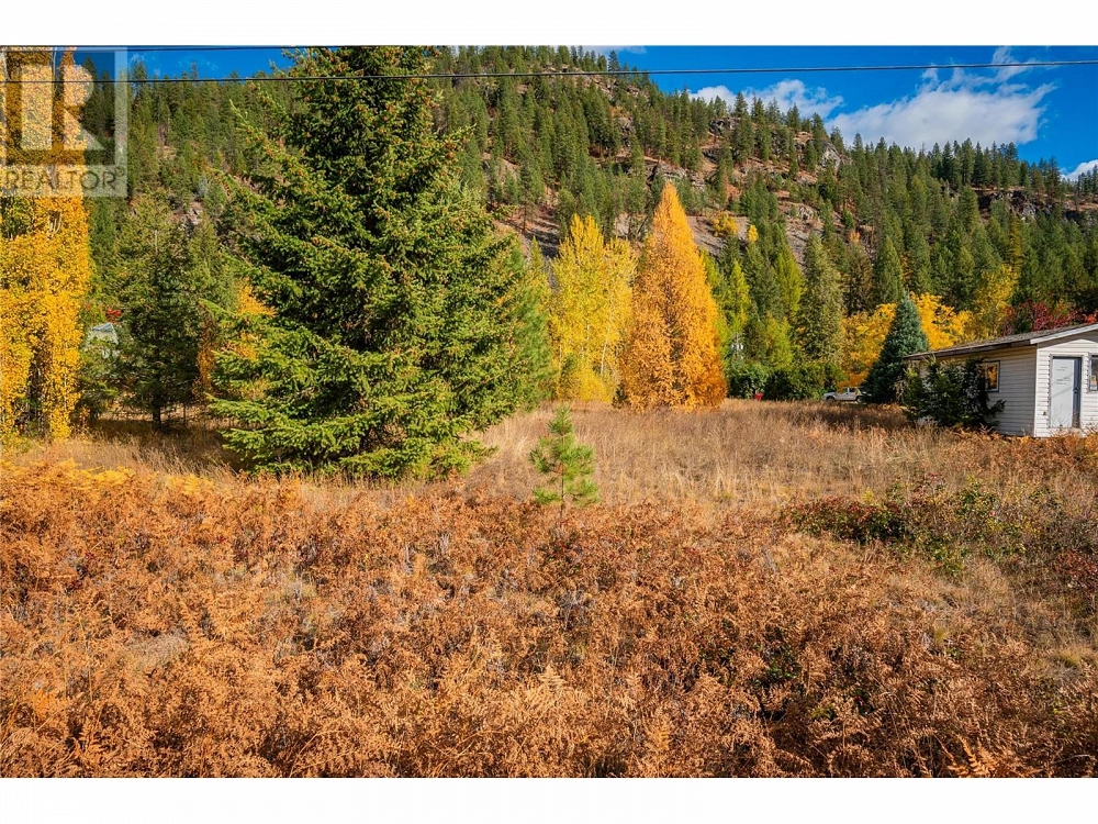 Lot 4 SANDNER FRONTAGE Road Christina Lake Photo 26