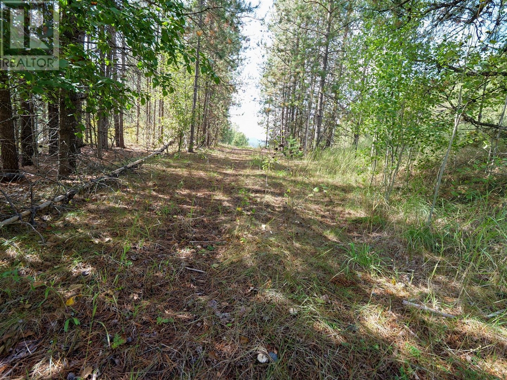 12585 3 Highway Greenwood Photo 11