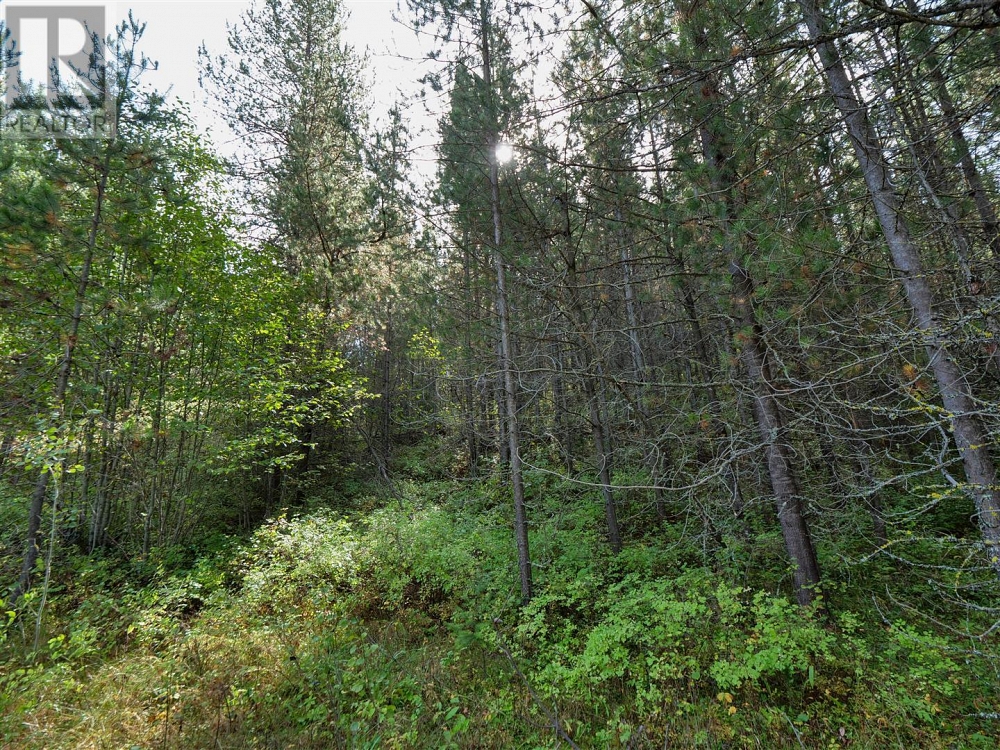 12585 3 Highway Greenwood Photo 12