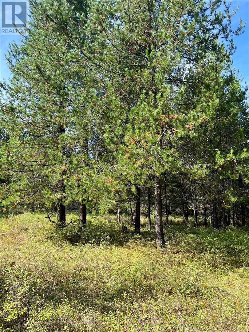 12585 3 Highway Greenwood Photo 15