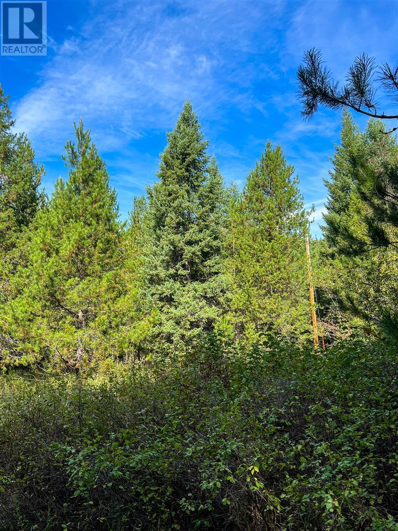 12585 3 Highway Greenwood Photo 22
