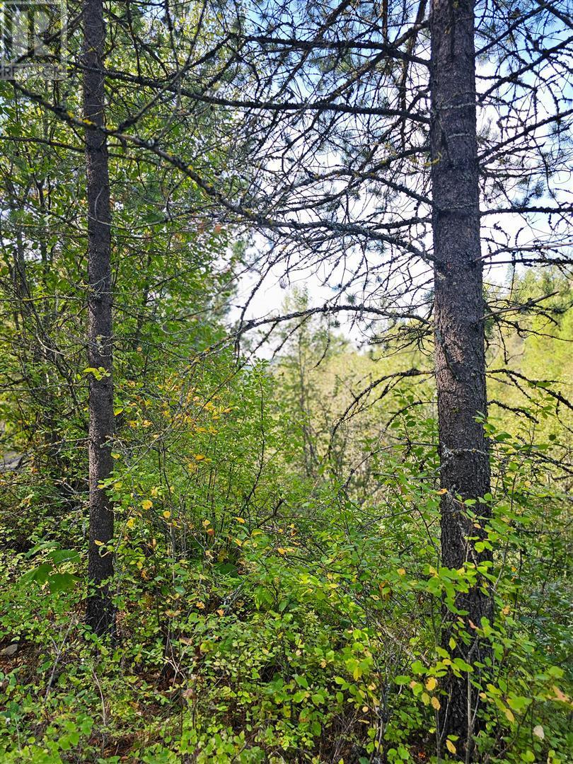12585 3 Highway Greenwood Photo 27