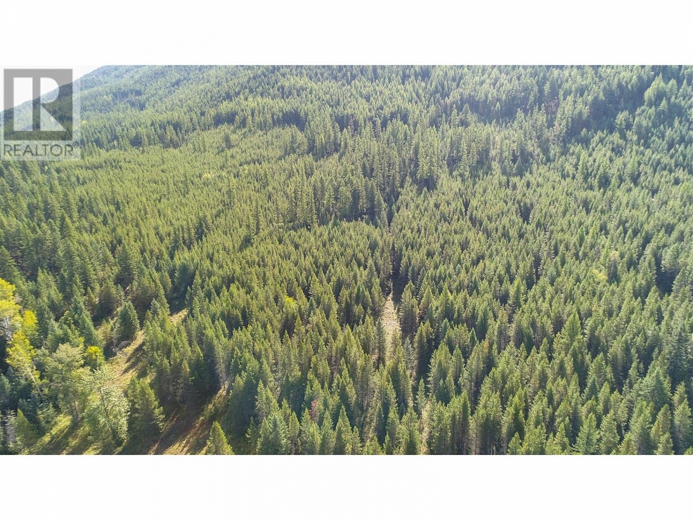 12585 3 Highway Greenwood Photo 31