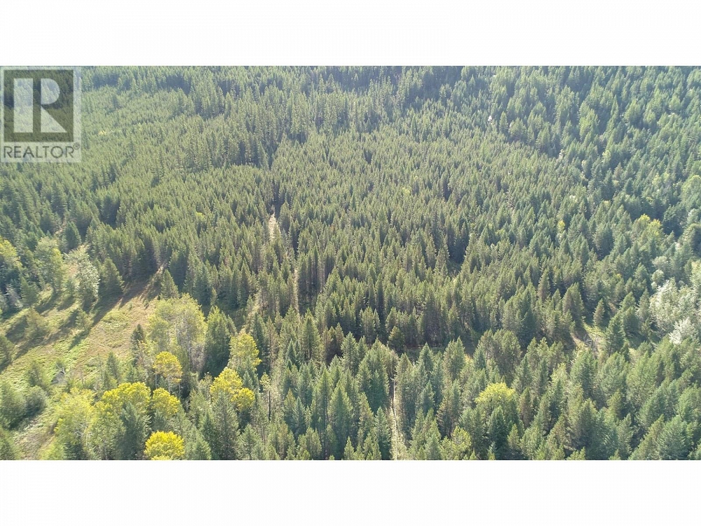 12585 3 Highway Greenwood Photo 33