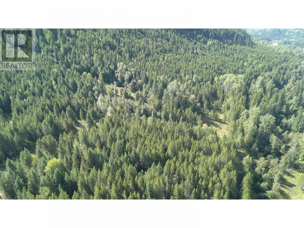 12585 3 Highway Greenwood Photo 34