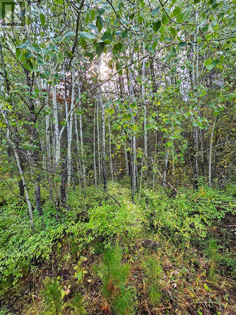 12585 3 Highway Greenwood Photo 7