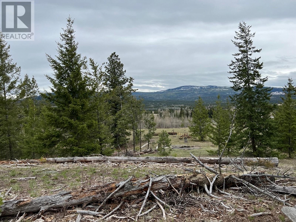 5245 ROBBINS RANGE Road Kamloops Photo 2