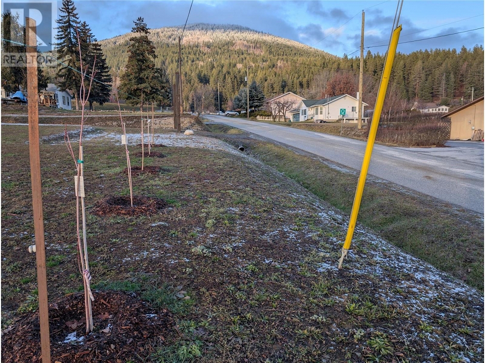 2628 3 Highway Erickson Photo 18