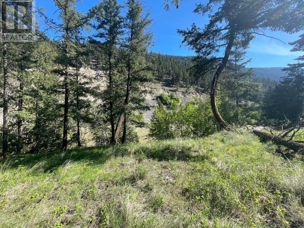 2428 HWY 3 Highway E Hedley Photo 34
