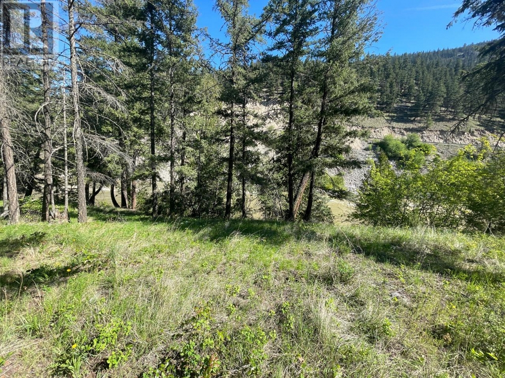 2428 HWY 3 Highway E Hedley Photo 35