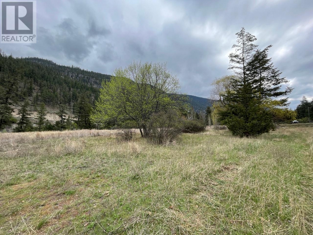2428 HWY 3 Highway E Hedley Photo 8