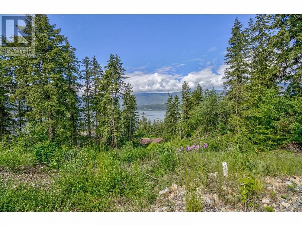 3541 20 Street NE Salmon Arm Photo 2