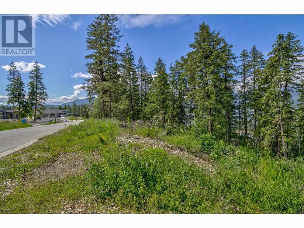3541 20 Street NE Salmon Arm Photo 4