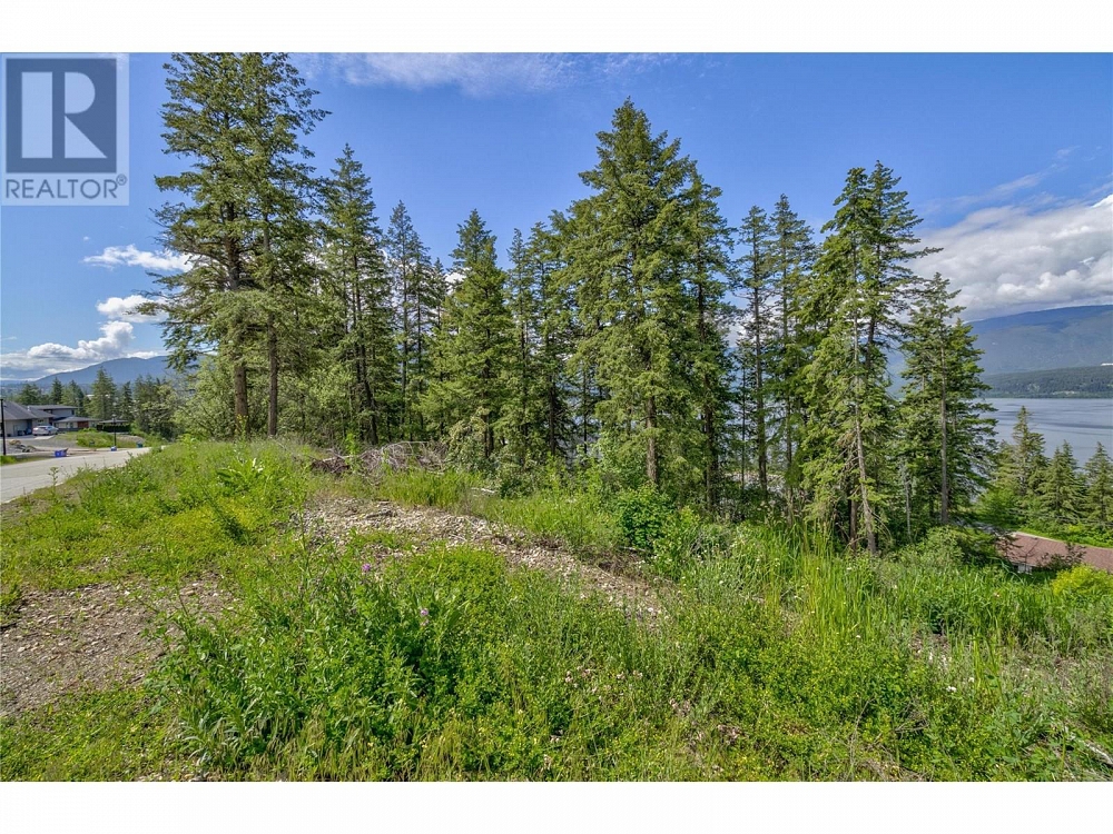3541 20 Street NE Salmon Arm Photo 5