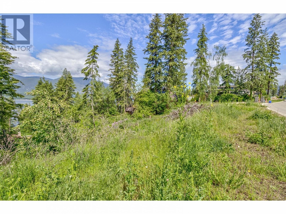 3541 20 Street NE Salmon Arm Photo 6