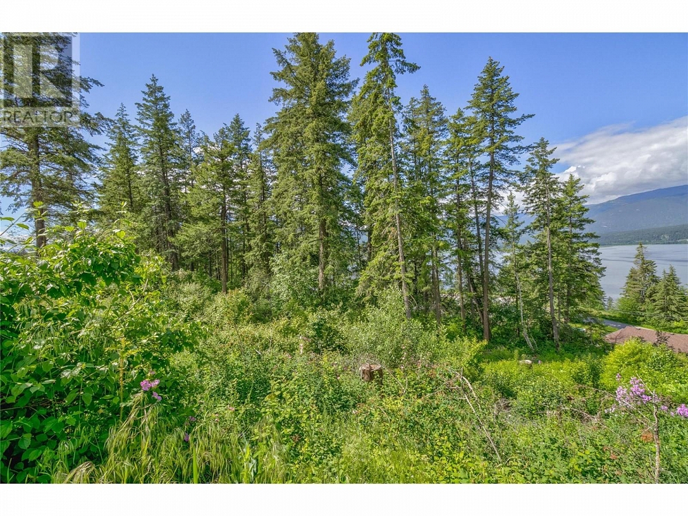 3541 20 Street NE Salmon Arm Photo 8