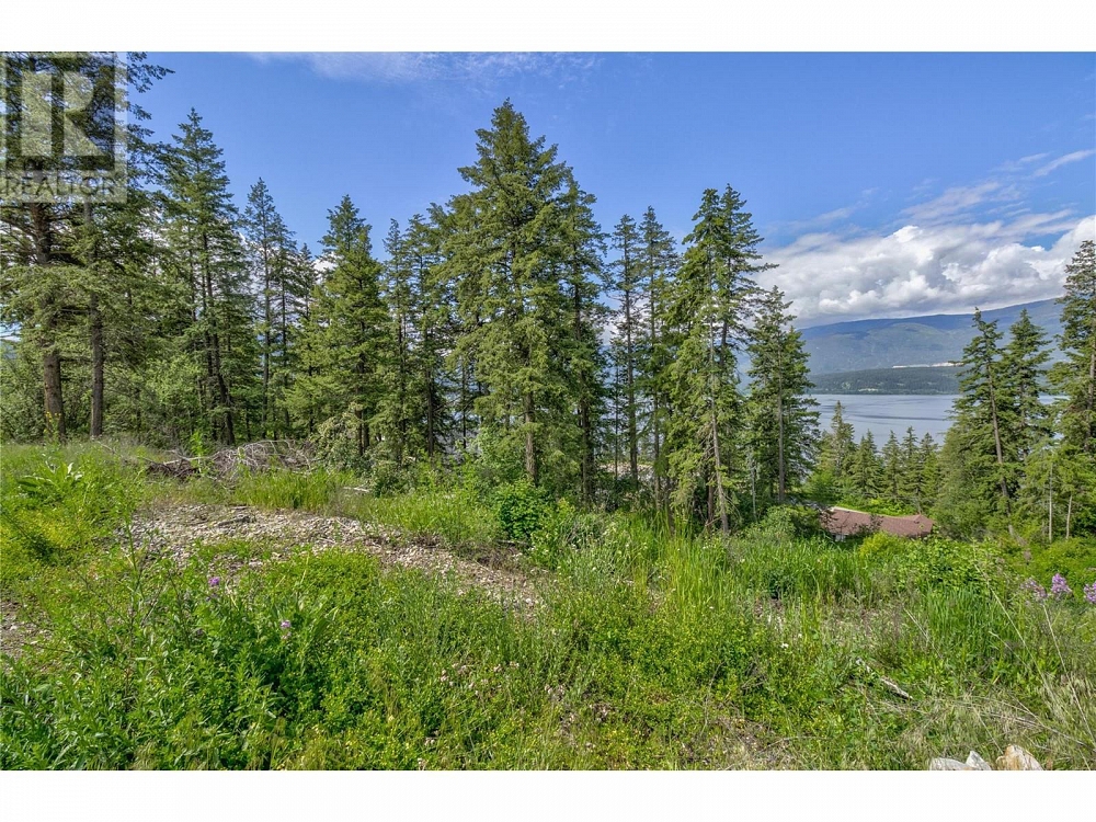 3541 20 Street NE Salmon Arm Photo 9