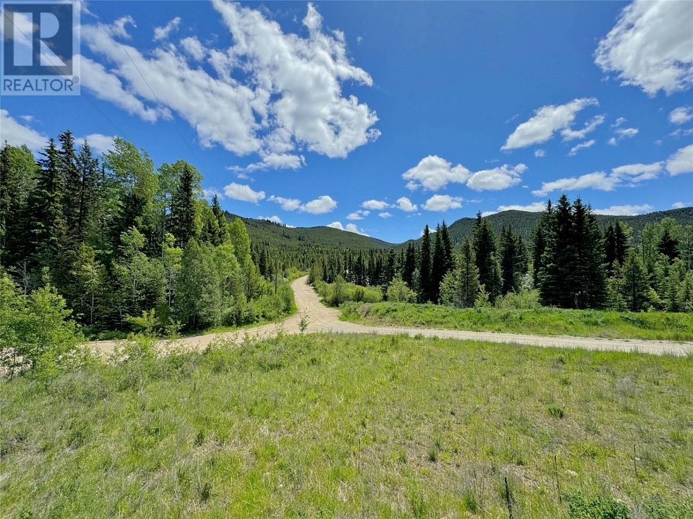 Lot 4 PRINCETON SUMMERLAND Road Princeton Photo 15
