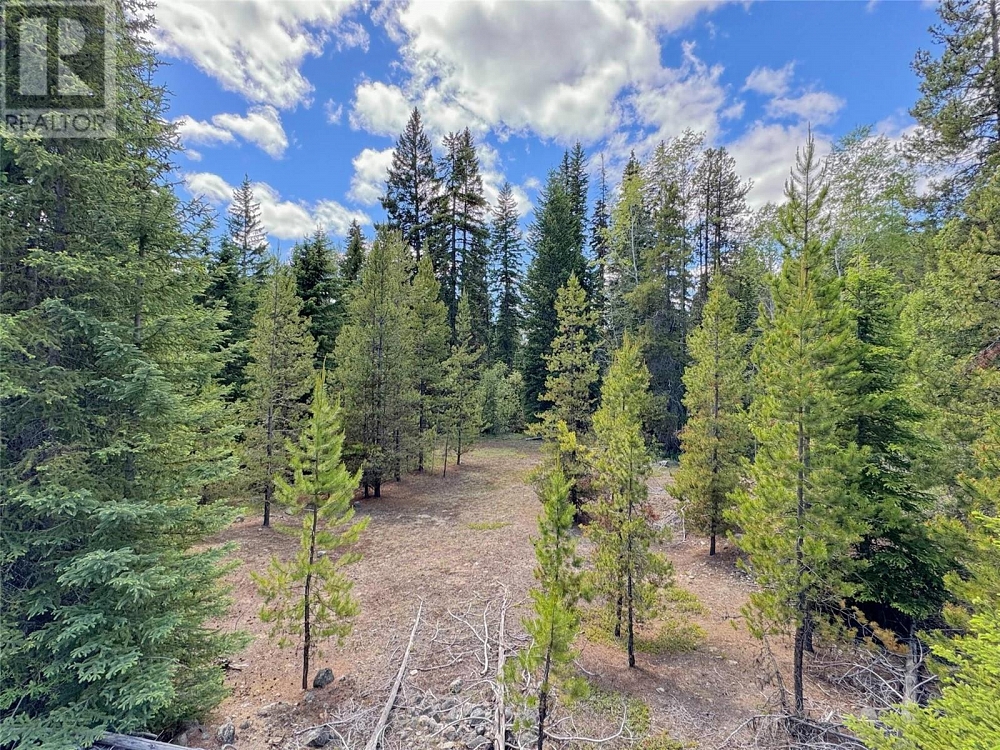 Lot 4 PRINCETON SUMMERLAND Road Princeton Photo 16
