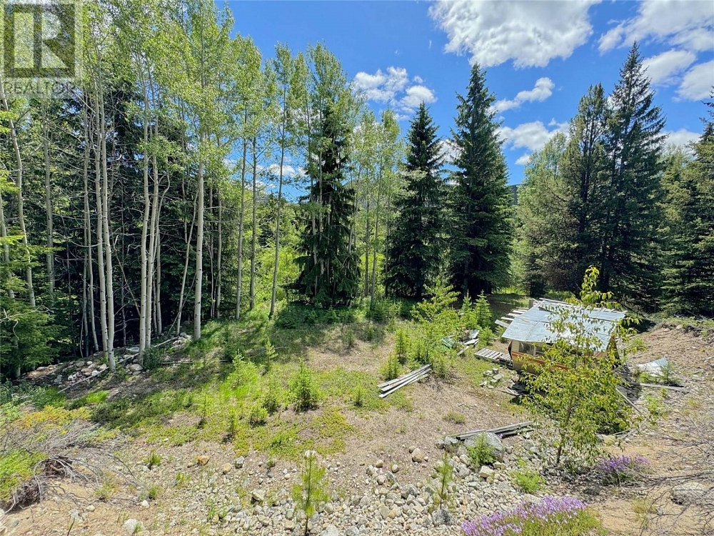 Lot 4 PRINCETON SUMMERLAND Road Princeton Photo 4