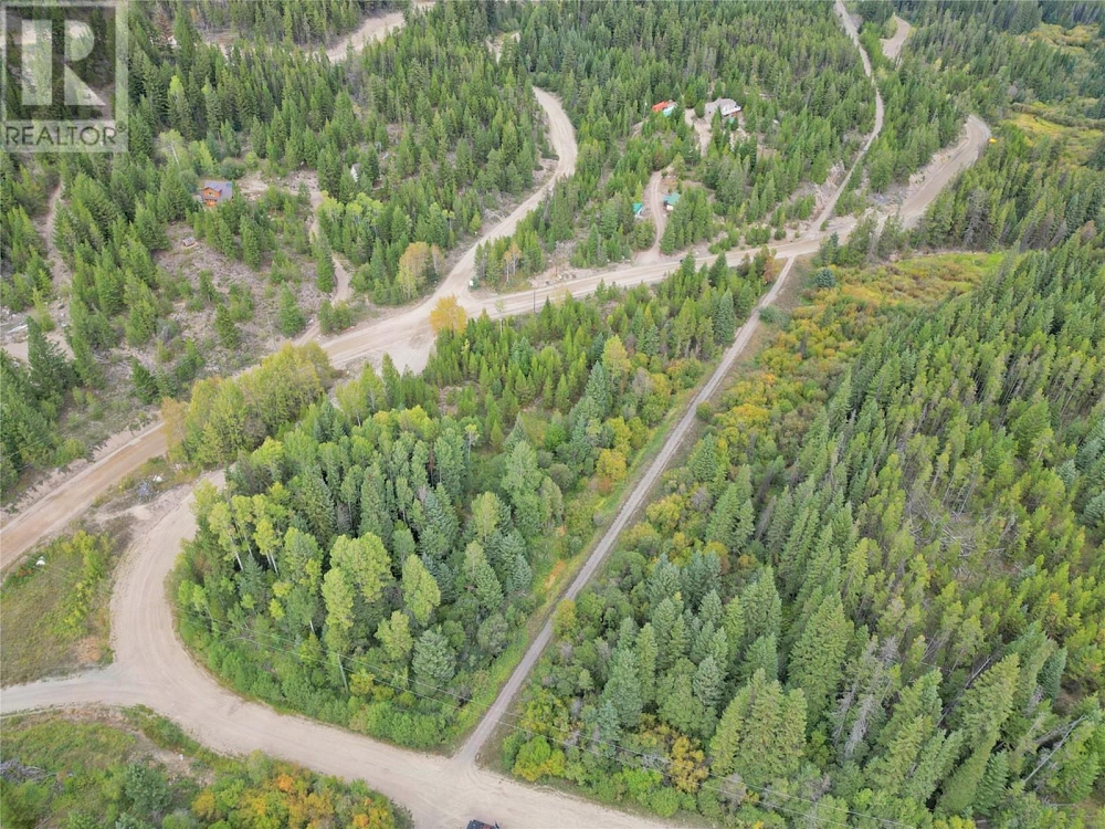 Lot 4 PRINCETON SUMMERLAND Road Princeton Photo 8