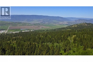 7955 McLennan Road - Photo 2