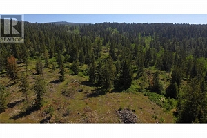 7955 McLennan Road - Photo 7