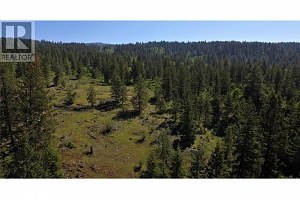 7955 McLennan Road - Photo 8