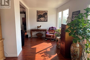 4435 Hallam Road - Photo 12