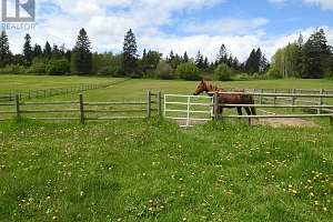 4435 Hallam Road - Photo 36