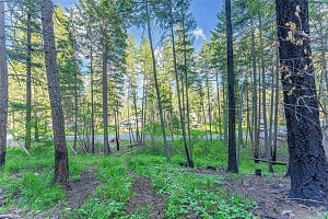 Lot 34 Winchester Road - Photo 3