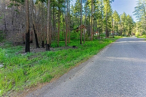 Lot 34 Winchester Road - Photo 4