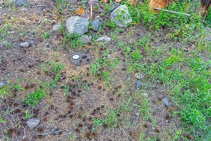 Lot 34 Winchester Road - Photo 6