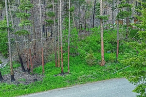 Lot 34 Winchester Road - Photo 9