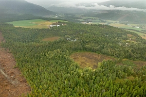 3107 Trinity Valley Road - Photo 19