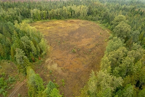 3107 Trinity Valley Road - Photo 20