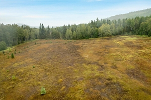 3107 Trinity Valley Road - Photo 22