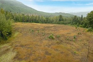 3107 Trinity Valley Road - Photo 23