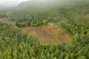 3107 Trinity Valley Road - Photo 24