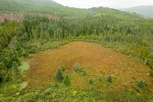 3107 Trinity Valley Road - Photo 25