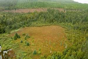 3107 Trinity Valley Road - Photo 26