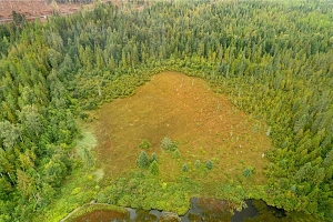 3107 Trinity Valley Road - Photo 27