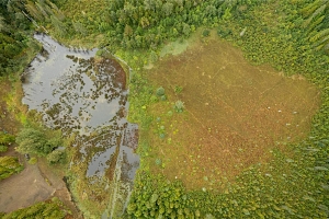 3107 Trinity Valley Road - Photo 28