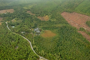 3107 Trinity Valley Road - Photo 3