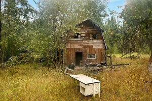 3107 Trinity Valley Road - Photo 9