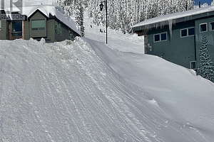 100 Arnica Lane - Photo 7