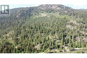 40 Acres Shuswap River Drive - Photo 11