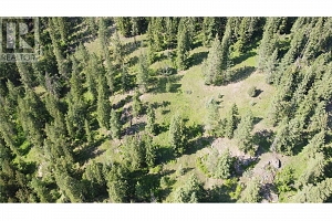 40 Acres Shuswap River Drive - Photo 12