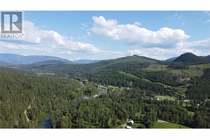40 Acres Shuswap River Drive - Photo 13
