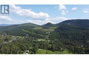 40 Acres Shuswap River Drive - Photo 14